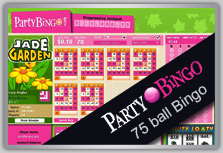 Online Bingo Spiele Um Geld